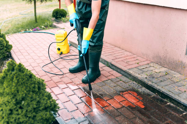 Professional Pressure Washing in Wilson, AR