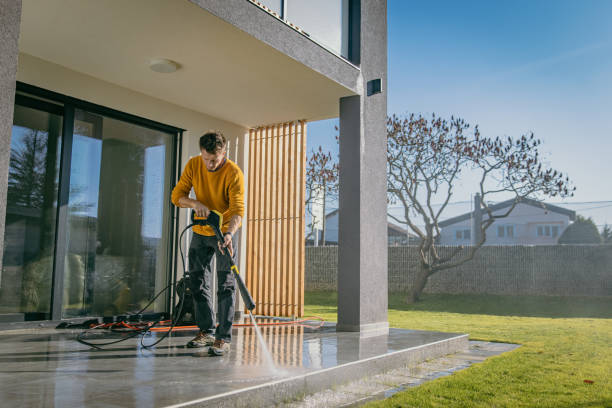 Best Pre-Holiday Cleaning  in Wilson, AR